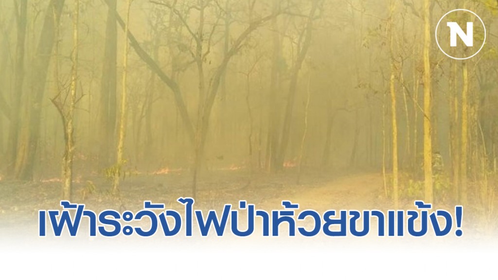 เฝ้าระวังไฟป่าห้วยขาแข้ง! เร่งทำแนวกันไฟ เฝ้าระวังไฟป่าห้วยขาแข้ง! เร่งทำแนวกันไฟ