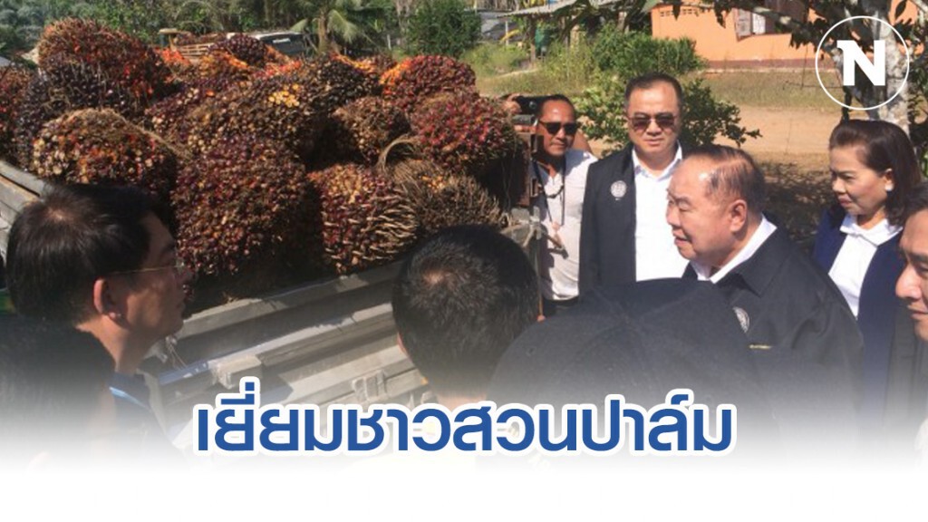ประวิตร พบเกษตรกรสวนปาล์ม ยิ้มราคาทะลุ 7 บาท ประวิตร พบเกษตรกรสวนปาล์ม ยิ้มราคาทะลุ 7 บาท