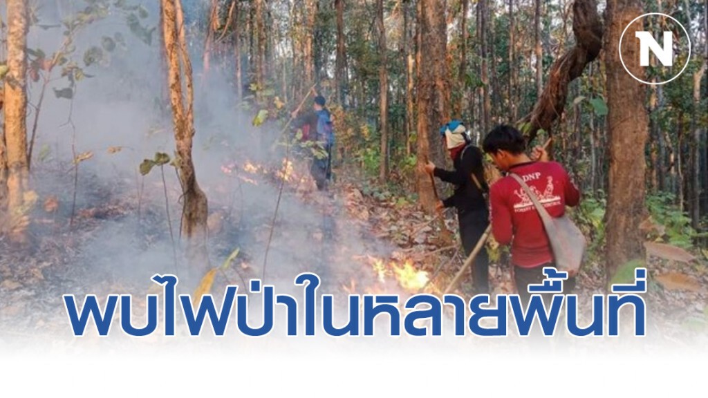 ลำปางพบไฟป่าในหลายพื้นที่​ คาดสาเหตุจากการจุดหาของป่า