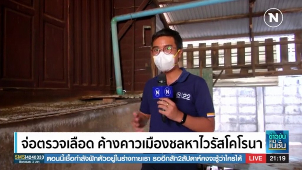 จ่อตรวจเลือด​ค้าวคาว​ เมืองชลหาไวรัสโค​โร​นา​