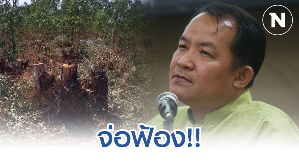 ศรีสุวรรณ จ่อเอาผิด 3 ราย เคสคนโค่นต้นไม้ที่ดินเดิมของ"สมพร"