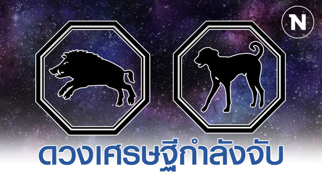 "ปีกุน -ปีจอ" ดวงชะตาพลิกผัน จะรวยจากลาภลอย "ปีกุน -ปีจอ" ดวงชะตาพลิกผัน จะรวยจากลาภลอย