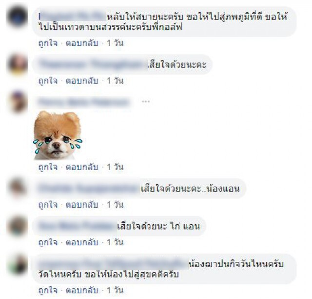 คุณแม่ 'กอล์ฟ ธนภัทร' โพสต์อาลัยลูก หลังเดินเตะถังไอติมลามเป็นมะเร็งเสียชีวิต