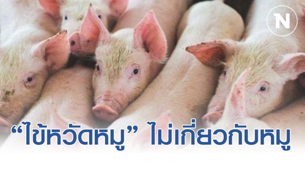 ไต้หวันแจงแล้ว "ไข้หวัดหมู" ไม่เกี่ยวข้องกับหมู