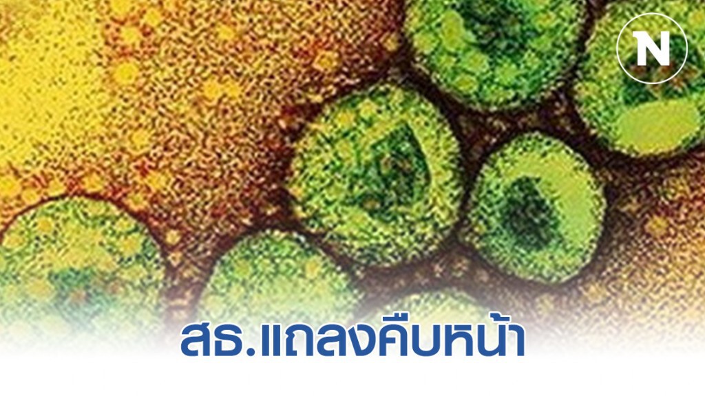 สธ.แถลงคืบหน้า ไวรัสโคโรนา 2019 สธ.แถลงคืบหน้า ไวรัสโคโรนา 2019