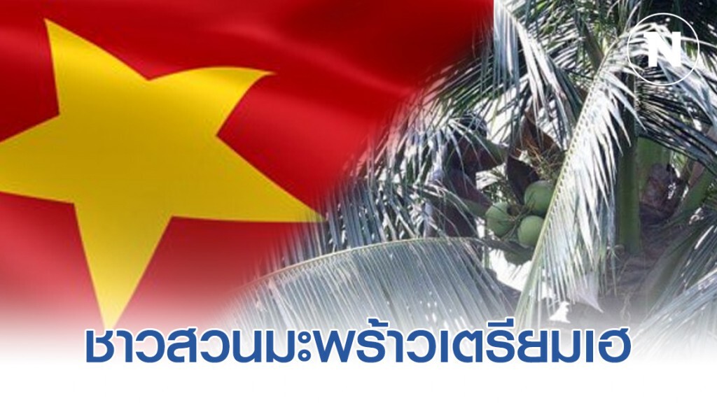 ชาวสวนมะพร้าวเตรียมเฮ เวียดนามจ่อนำเข้ามะพร้าวอ่อนไทย ชาวสวนมะพร้าวเตรียมเฮ เวียดนามจ่อนำเข้ามะพร้าวอ่อนไทย