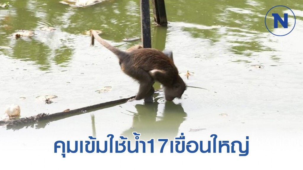 คุมเข้มใช้น้ำ17เขื่อนใหญ่ น้ำต้นุทนน้อยต่ำกว่า30% คุมเข้มใช้น้ำ17เขื่อนใหญ่ น้ำต้นุทนน้อยต่ำกว่า30%