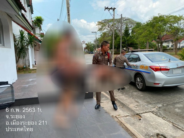 "ตำรวจท่องเที่ยว" โร่ช่วยเหลือ "สาวสวีเดน" แพ้แมลงนอนในห้องพัก