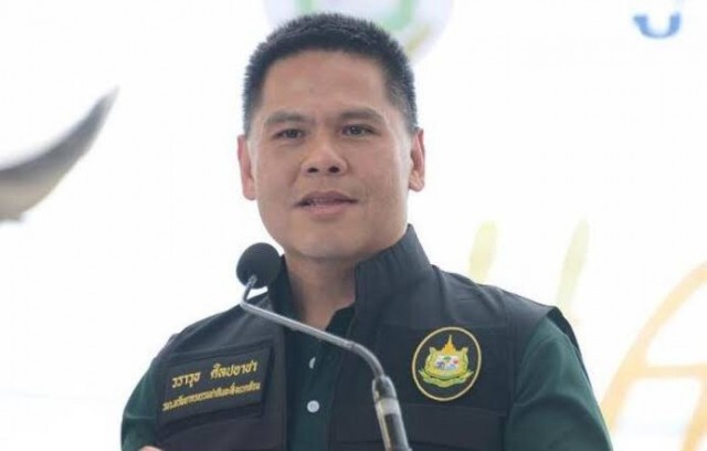 พบอีกแล้ว! เต่ามะเฟืองวางไข่รังที่ 9