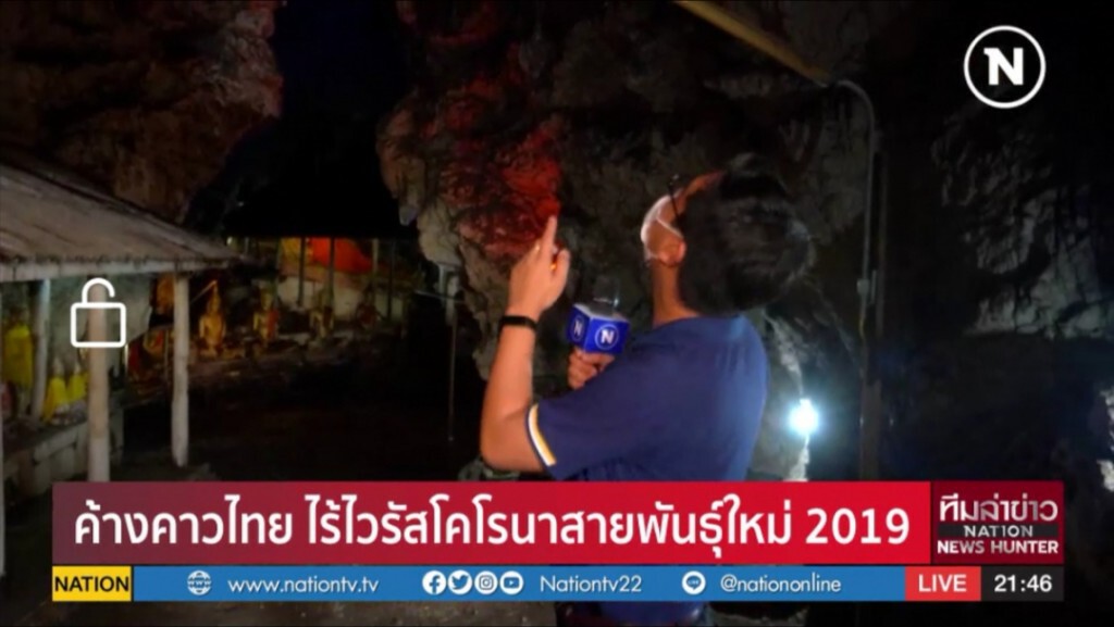 (รายงานพิเศษ)​ ค้างคาวไทย ไร้ไวรัสโคโรนาสายพันธุ์ใหม่ 2019
