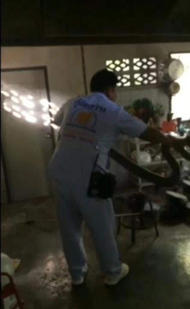 ยาวกว่า 4 เมตร ! งูจงอางตัวใหญ่ โผล่อ่างล้างจาน เชื่องูเจ้าที่