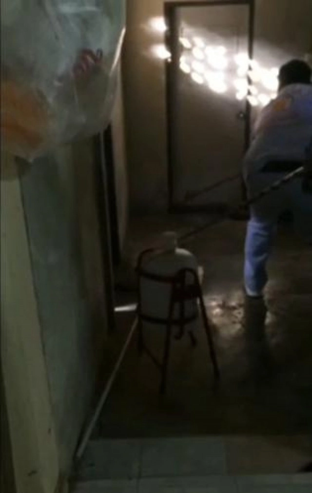 ยาวกว่า 4 เมตร ! งูจงอางตัวใหญ่ โผล่อ่างล้างจาน เชื่องูเจ้าที่