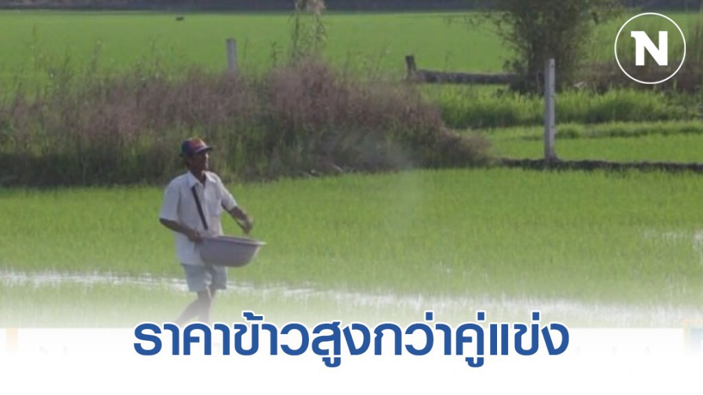 ผู้ส่งออกชี้ข้าวไทย 'แข่งยาก' เหตุราคาสูงกว่าคู่แข่ง