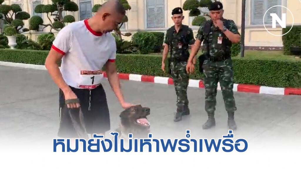 "บิ๊กแดง" ยก หมาทหาร ไม่เห่าพร่ำเพรื่อ แบบมนุษย์โซเชียล