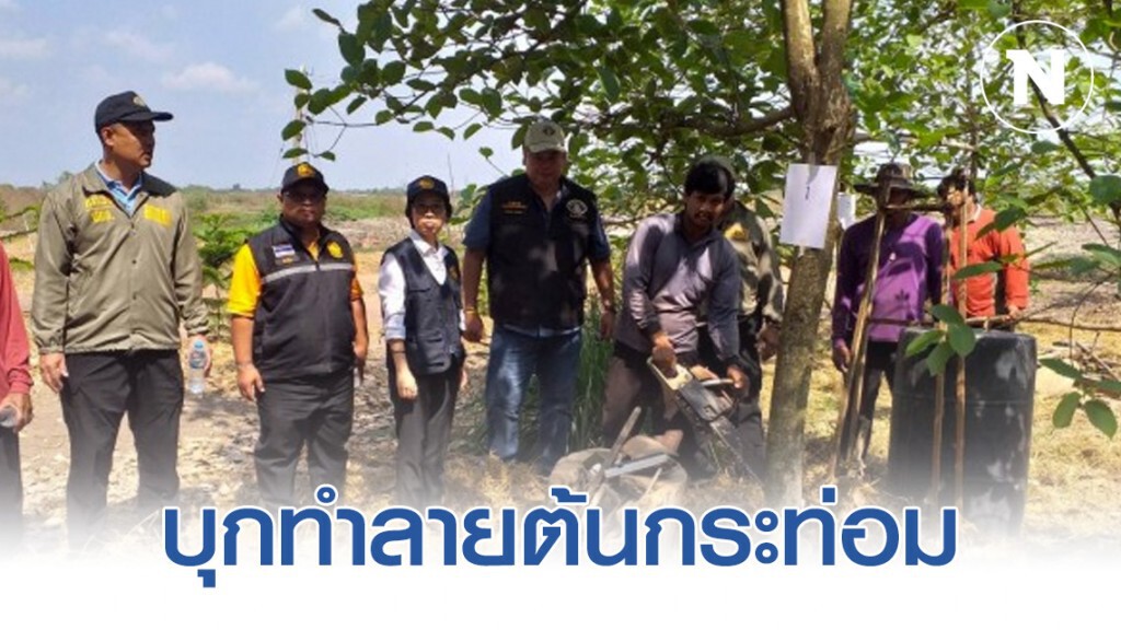 ตำรวจป่าไม้-ฝ่ายปกครองบุกทำลายต้นกระท่อม