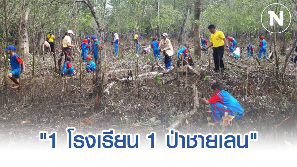 ทช.เปิดตัวโครงการ "1 โรงเรียน 1 ป่าชายเลน" ทช.เปิดตัวโครงการ "1 โรงเรียน 1 ป่าชายเลน"
