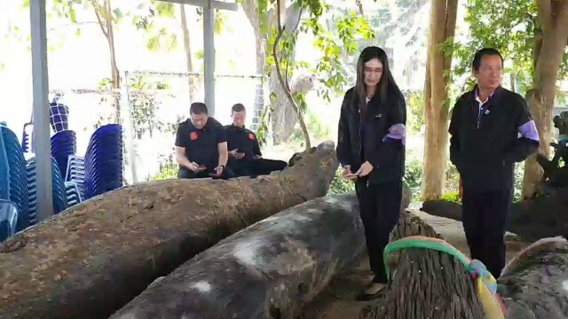 ชาวบ้านแห่ขอโชคเจ้าแม่ตะเคียนทองหนองเล็งทราย