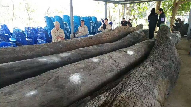 ชาวบ้านแห่ขอโชคเจ้าแม่ตะเคียนทองหนองเล็งทราย