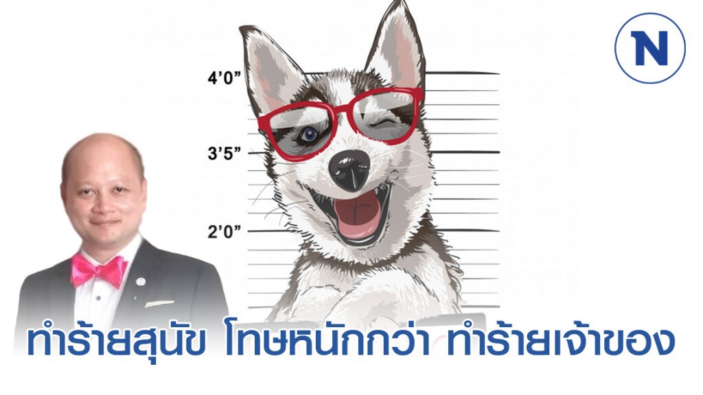 ทนายรัชพล ชี้ ทำร้ายสุนัข มีโทษหนักกว่า ทำร้ายเจ้าของสุนัข! ทนายรัชพล ชี้ ทำร้ายสุนัข มีโทษหนักกว่า ทำร้ายเจ้าของสุนัข!