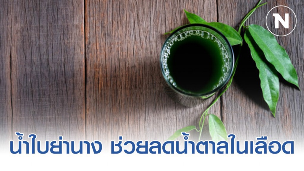 น้ำใบย่านาง ช่วยลดน้ำตาลในเลือด น้ำใบย่านาง ช่วยลดน้ำตาลในเลือด