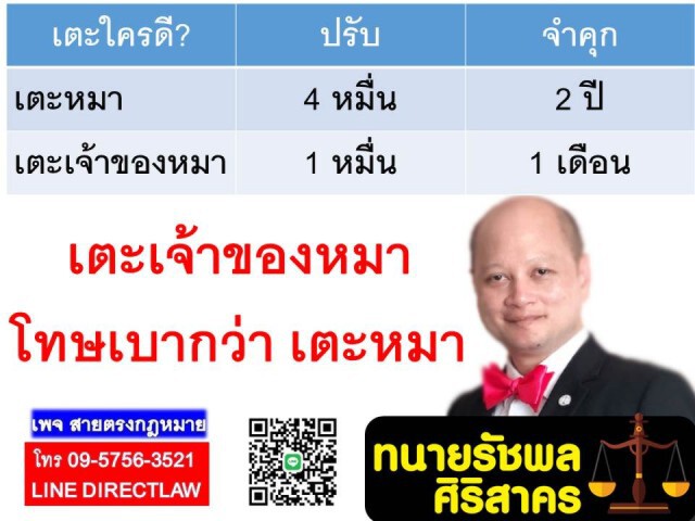 ทนายรัชพล ชี้ ทำร้ายสุนัข มีโทษหนักกว่า ทำร้ายเจ้าของสุนัข!