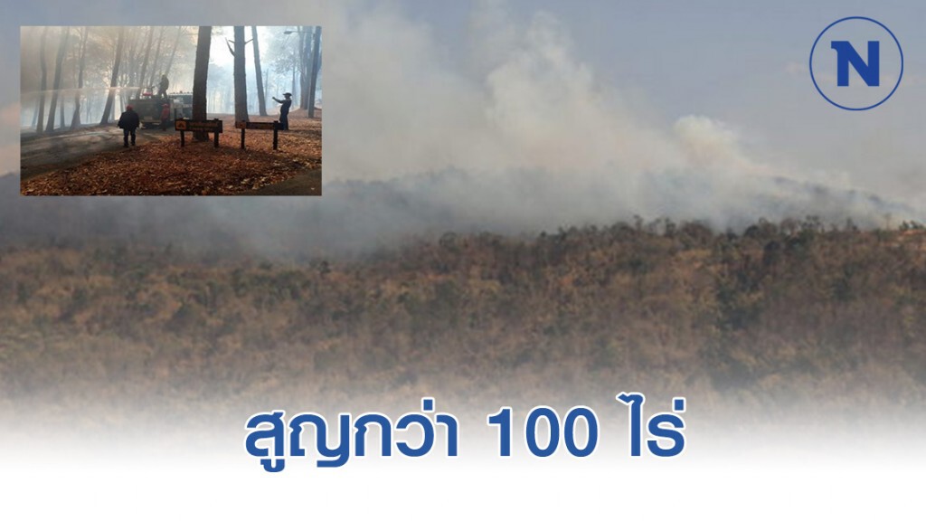 ไฟลามเข้าป่าสงวนเขตอุทยานแห่งชาติภูเรือสูญ กว่า 100  ไร่