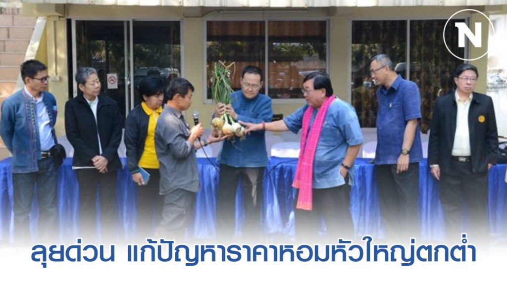 ‘ประภัตร’ ลุยด่วน แก้ปัญหาราคาหอมหัวใหญ่ตกต่ำ จ.เชียงใหม่