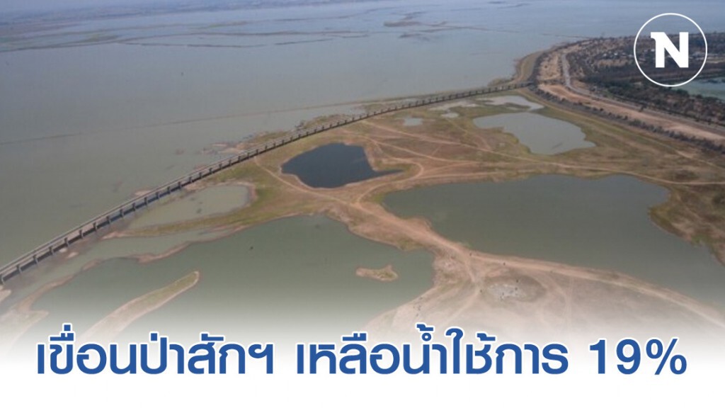 เขื่อนป่าสักฯ เหลือน้ำใช้การ 19% เขื่อนป่าสักฯ เหลือน้ำใช้การ 19%