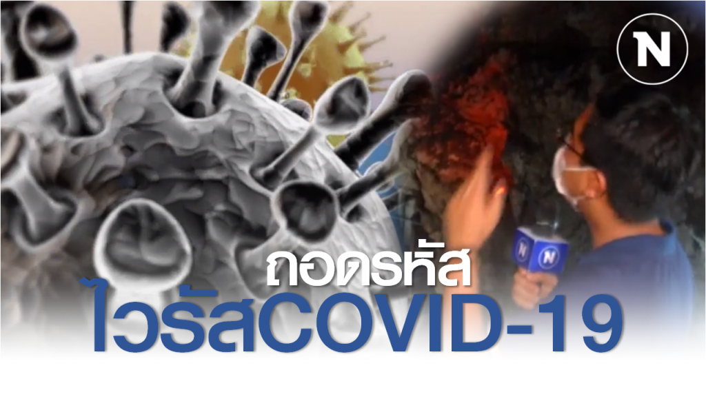 Nation Documentary | ถอดรหัสไวรัส COVID-19