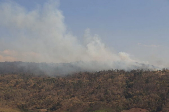 ไฟลามเข้าป่าสงวนเขตอุทยานแห่งชาติภูเรือสูญ กว่า 100  ไร่