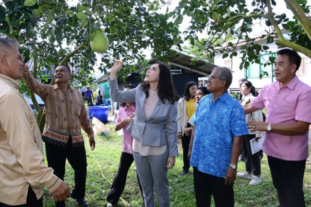 กษ.ดันส้มโอทับทิมสยามส่งออกทั้งในและต่างประเทศ