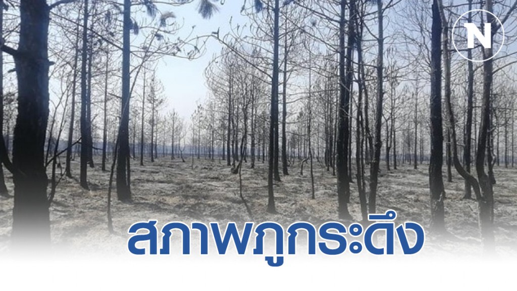 เผยสภาพภูกระดึง หลังไฟป่าเผาผลาญ เผยสภาพภูกระดึง หลังไฟป่าเผาผลาญ
