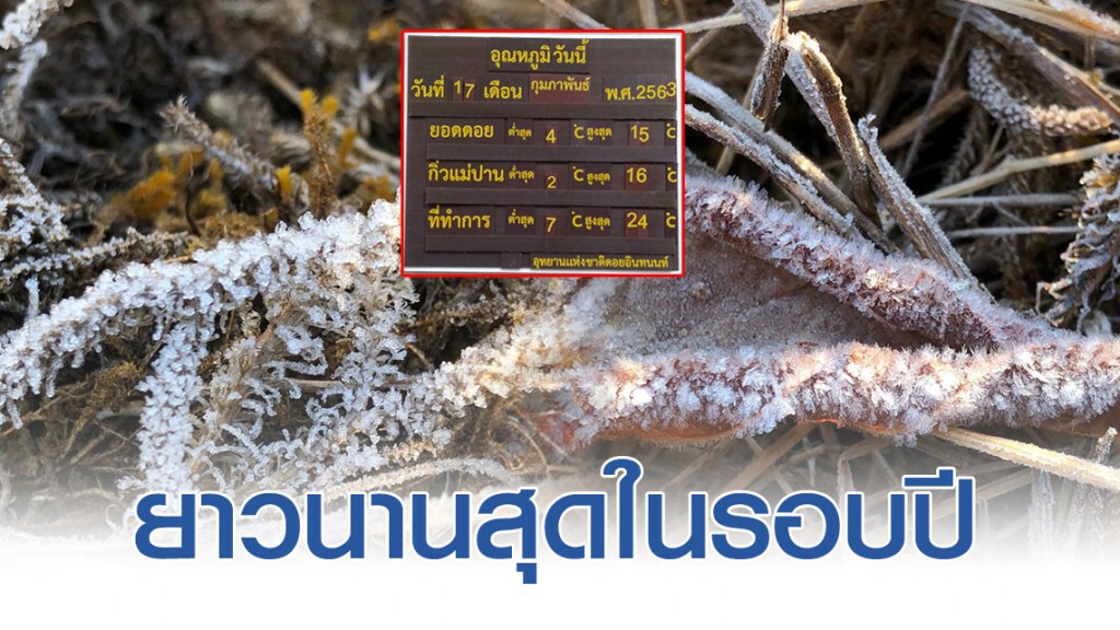 ดอยอินทนนท์ ทุบสถิติ! เกิดเหมยขาบติดต่อกันยาวนานที่สุดในรอบปี