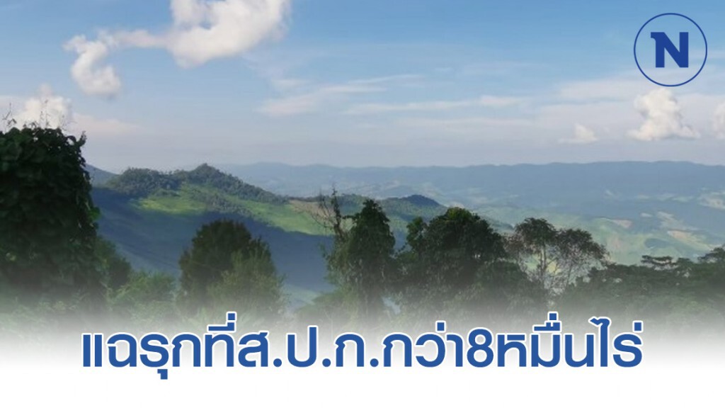 แฉรุกที่ส.ป.ก.กว่า8หมื่นไร่ ดอยแม่สลอง จ.เชียงราย