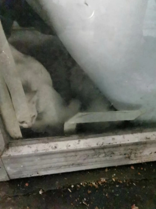 ชายนั่งด้อมๆมองๆหน้าประตู ที่ถูกปิดมานานหลายปี