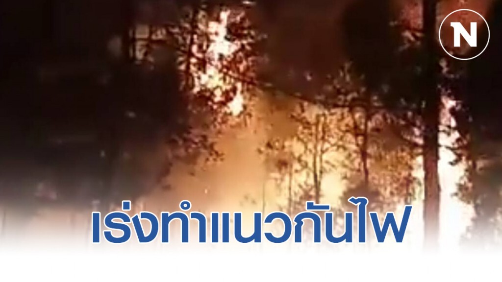 จนท.ภูกระดึง เร่งทำแนวกันไฟ หวั่นปะทุรอบใหม่