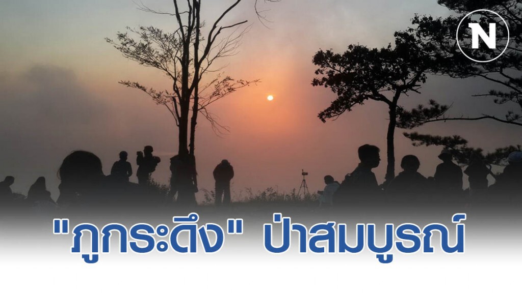 ทำความรู้จัก "ภูกระดึง" ป่าสมบูรณ์