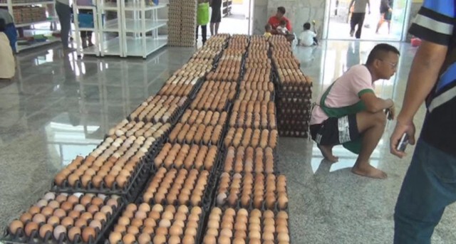 "หนุ่ม-สาว ชาวจีน" เหมาไข่ไก่ 2 แสนฟอง ขอพร "หลวงพ่อโสธร" ช่วยประเทศจีนพ้นวิกฤตโคโรน่า