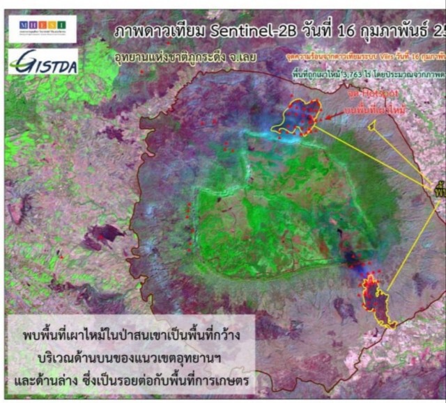 "ศศิน" ทวงคืนป่าสนธรรมชาติฟื้นฟูนิเวศภูกระดึง