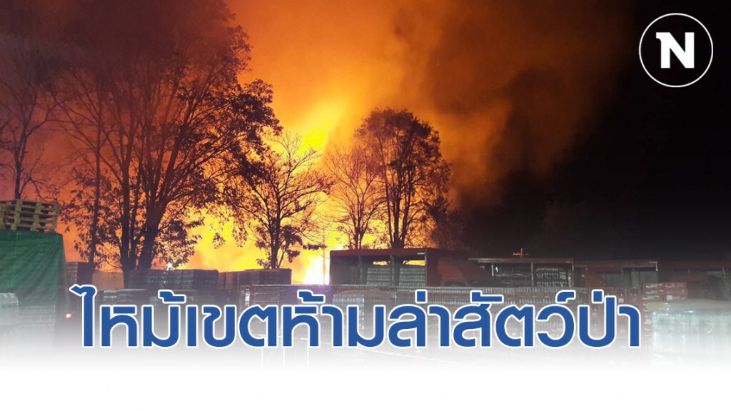 ไฟป่าลุกลามเขตห้ามล่าสัตว์ป่าช้างผาด่าน กว่า 700 ไร่