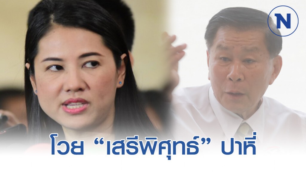 "ปารีณา" โวย "เสรีพิศุทธ์" ปาหี่ ดึงเรื่องสอบ แม่ธนาธร กลับ "ปารีณา" โวย "เสรีพิศุทธ์" ปาหี่ ดึงเรื่องสอบ แม่ธนาธร กลับ