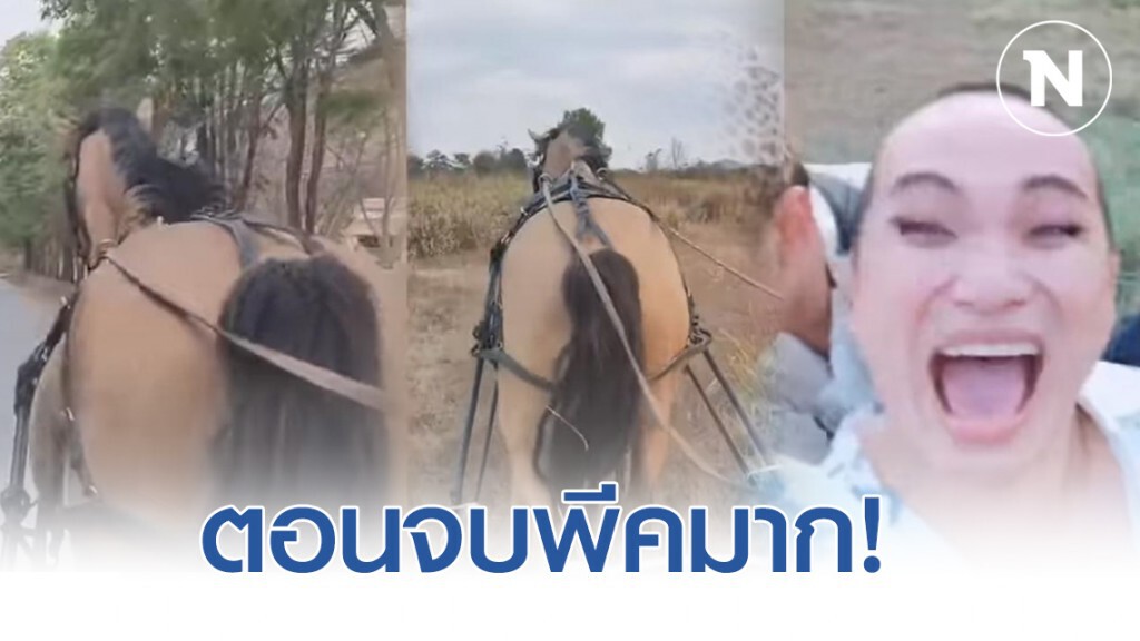 "พัด ชนุดม" เปิดภาพนั่งรถม้าสบายใจ จุดจบสุดพีค! ต้องดู "พัด ชนุดม" เปิดภาพนั่งรถม้าสบายใจ จุดจบสุดพีค! ต้องดู