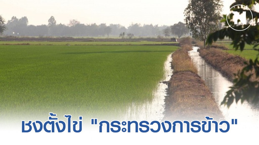 กมธ.เกษตรฯชงตั้งไข่ "กระทรวงการข้าว" แก้ปัญหาชาวนาไทย ผลผลิตตกต่ำ เสียแชมป์ส่งออก