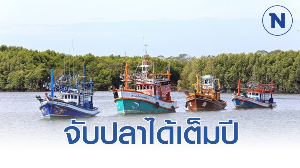 ประมงเฮ!" บิ๊กป้อม " สั่งลุยควบรวมเรือประมง จับปลาได้เต็มปี