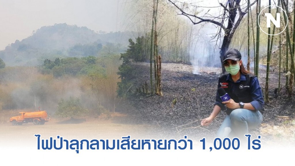 นครนายก ไฟป่าลุกลามเสียหายกว่า 1,000 ไร่