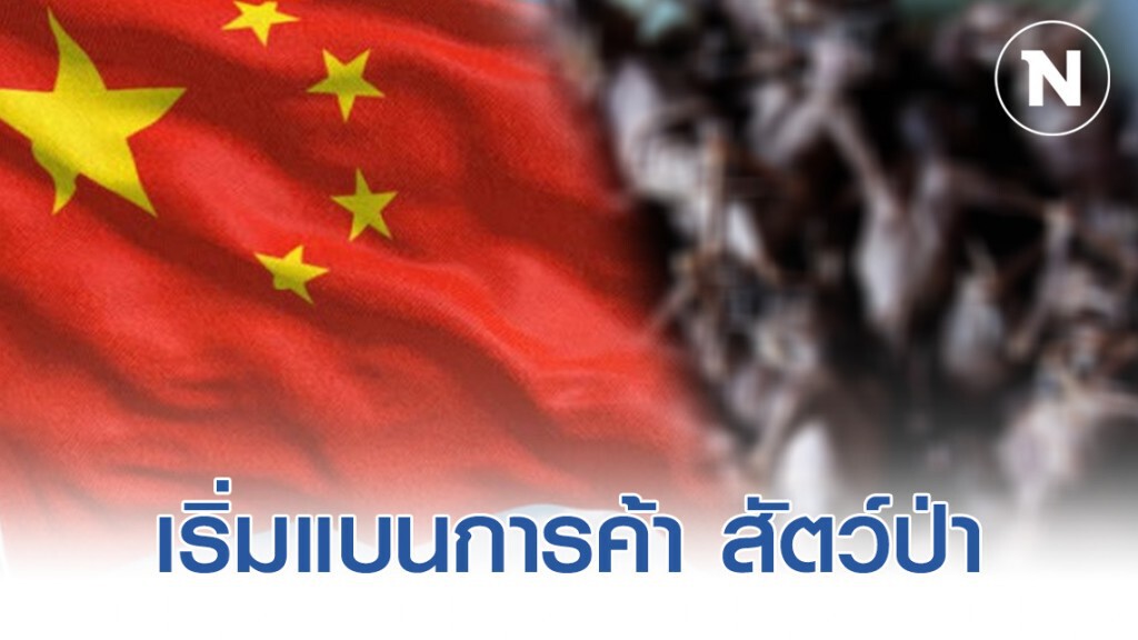 จีน เริ่มแบนการค้าบริโภคสัตว์ป่า จีน เริ่มแบนการค้าบริโภคสัตว์ป่า