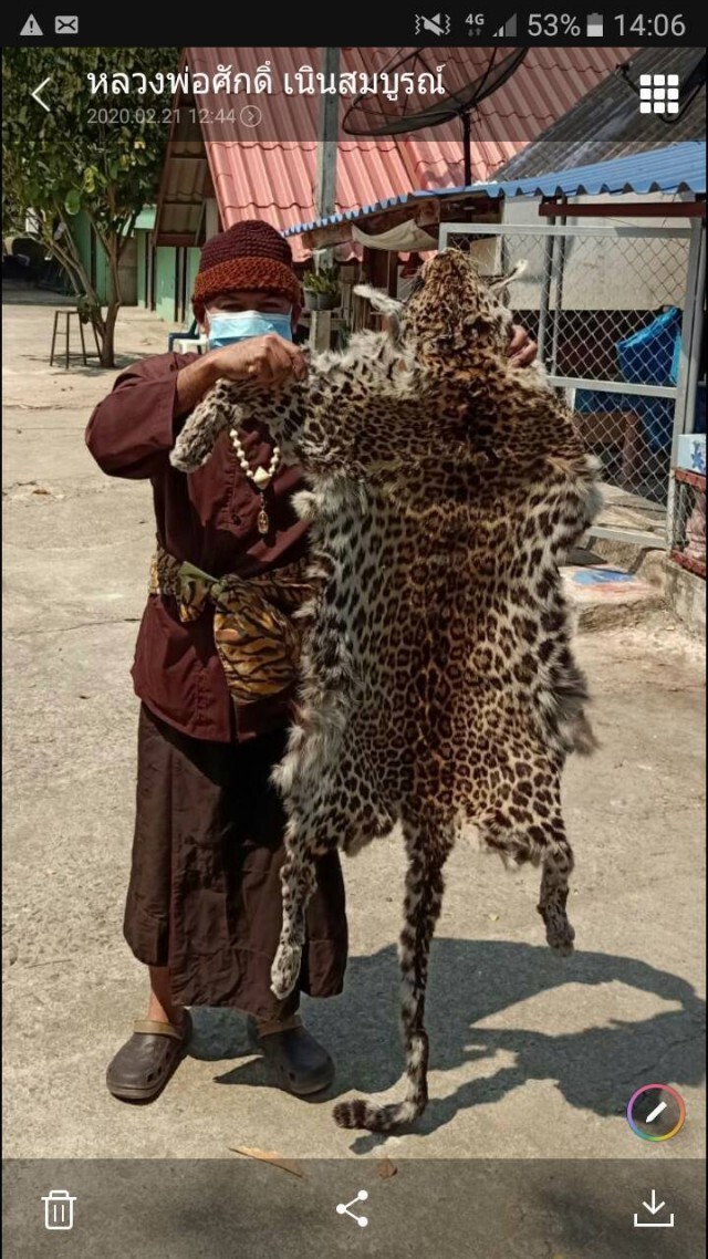 หน่วยพญาเสือ จับพระสงฆ์ลักลอบค้าสัตว์ป่า