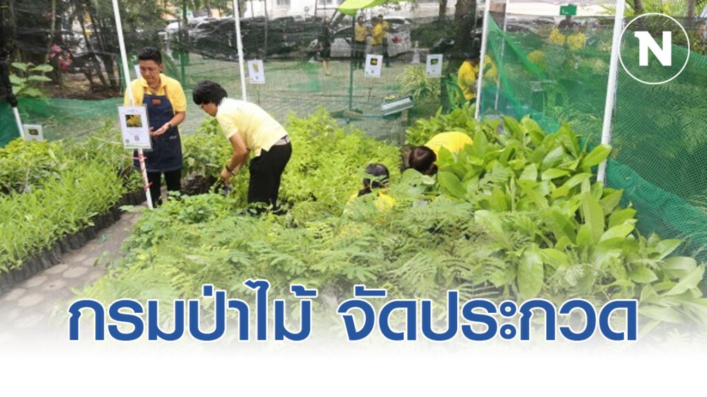 กรมป่าไม้ จัดประกวดวัสดุทดแทนถุงพลาสติก