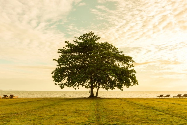เช็คอิน ถ่ายภาพรัวๆที่ อาณา อานันท์ รีสอร์ท แอนด์ วิลล่า พัทยา