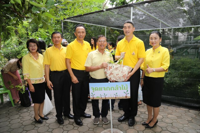 กรมป่าไม้ จัดประกวดวัสดุทดแทนถุงพลาสติก